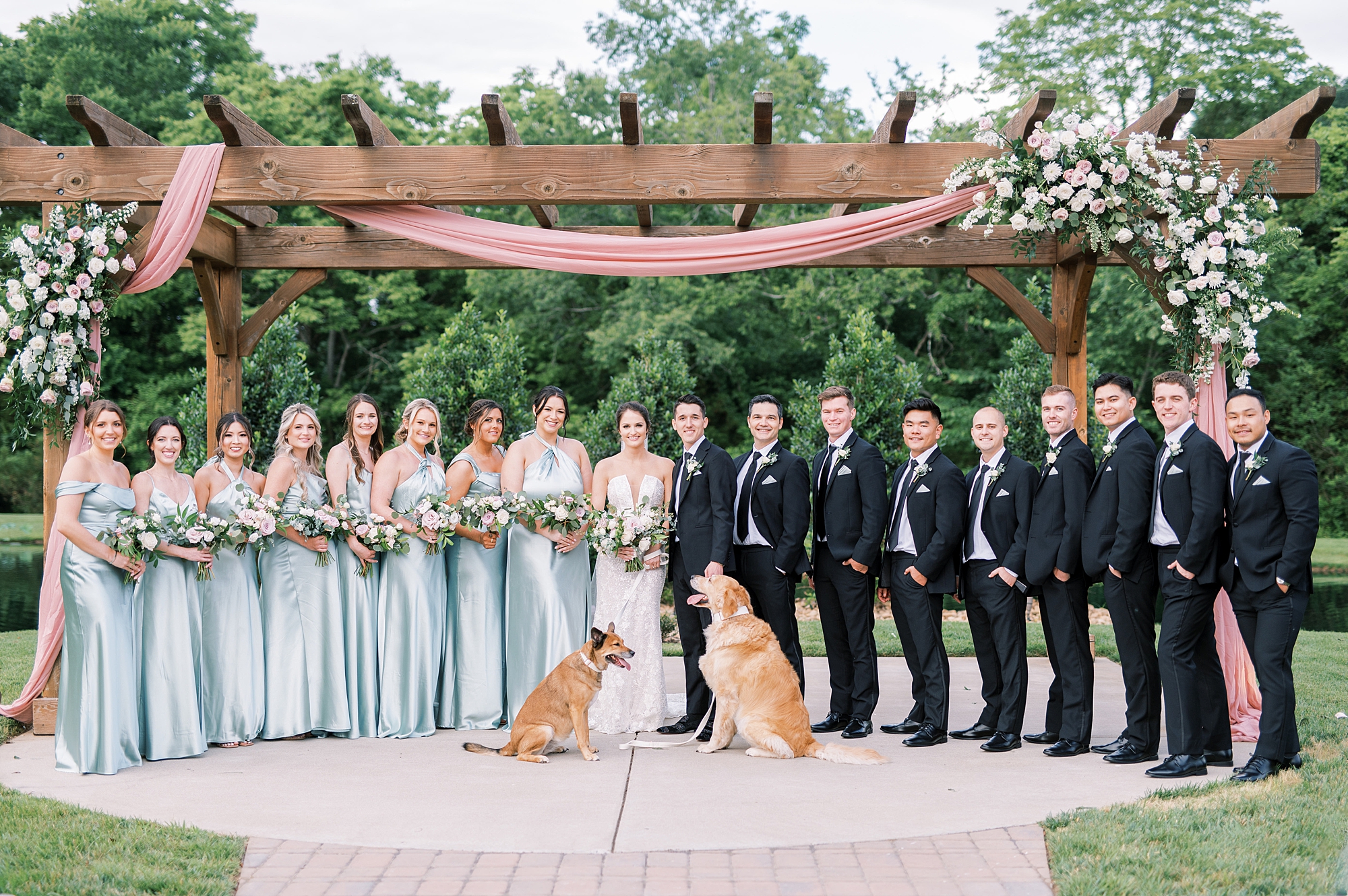 wedding party portraits with couple's dogs