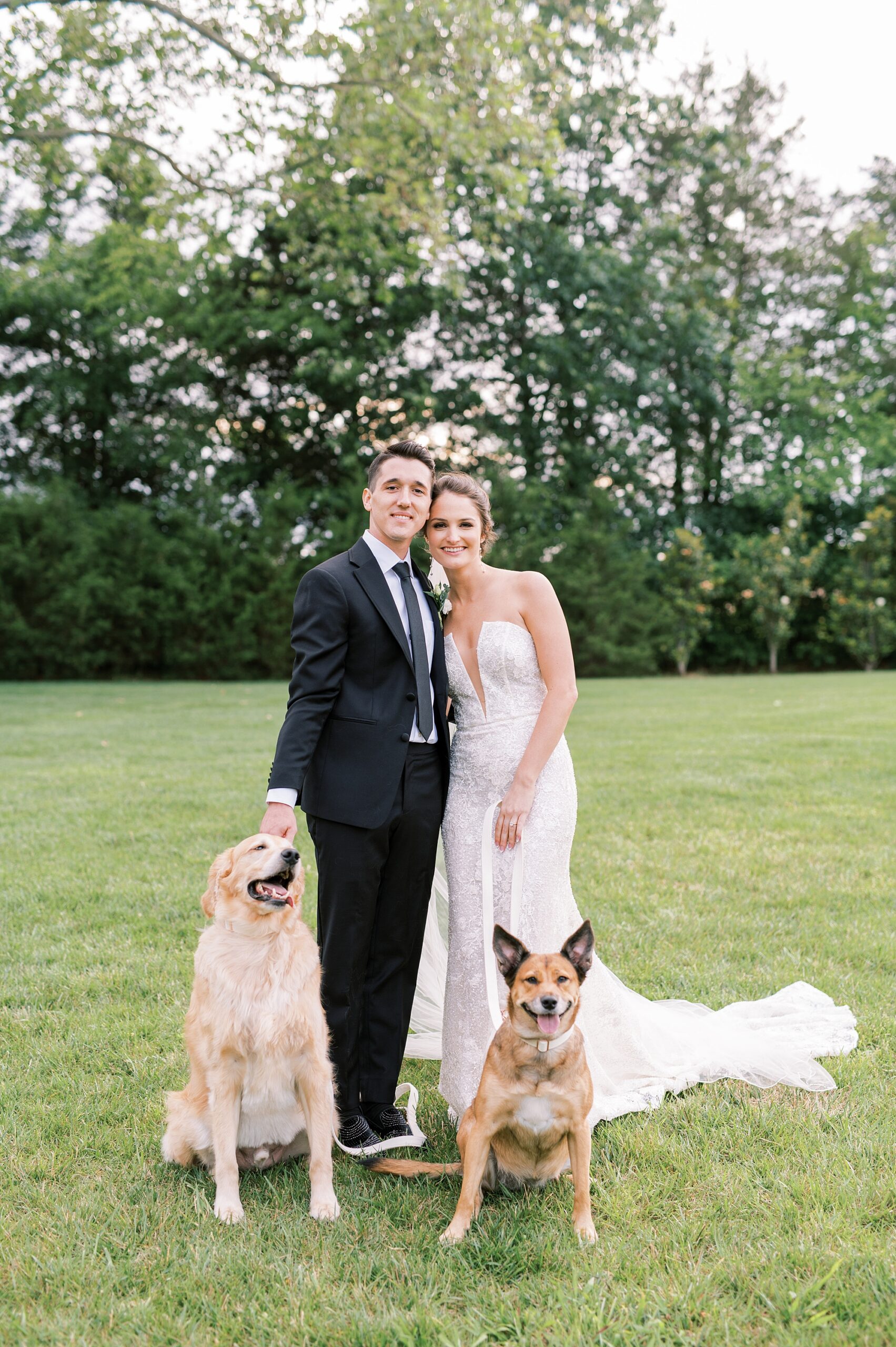 bride and groom portraits with their two dogs 