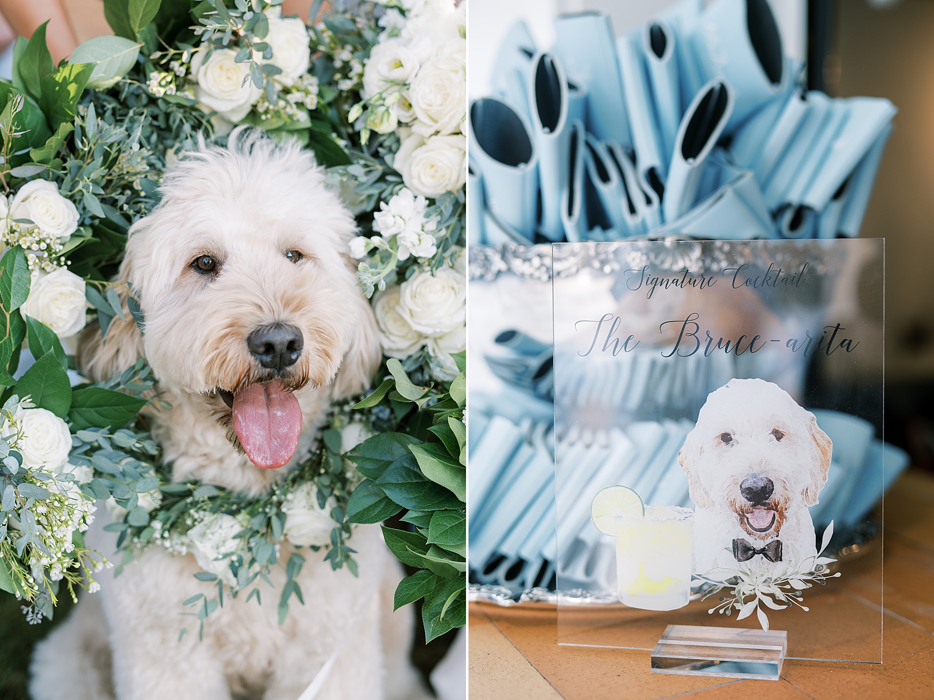 bride and groom's dog and details from wedding 