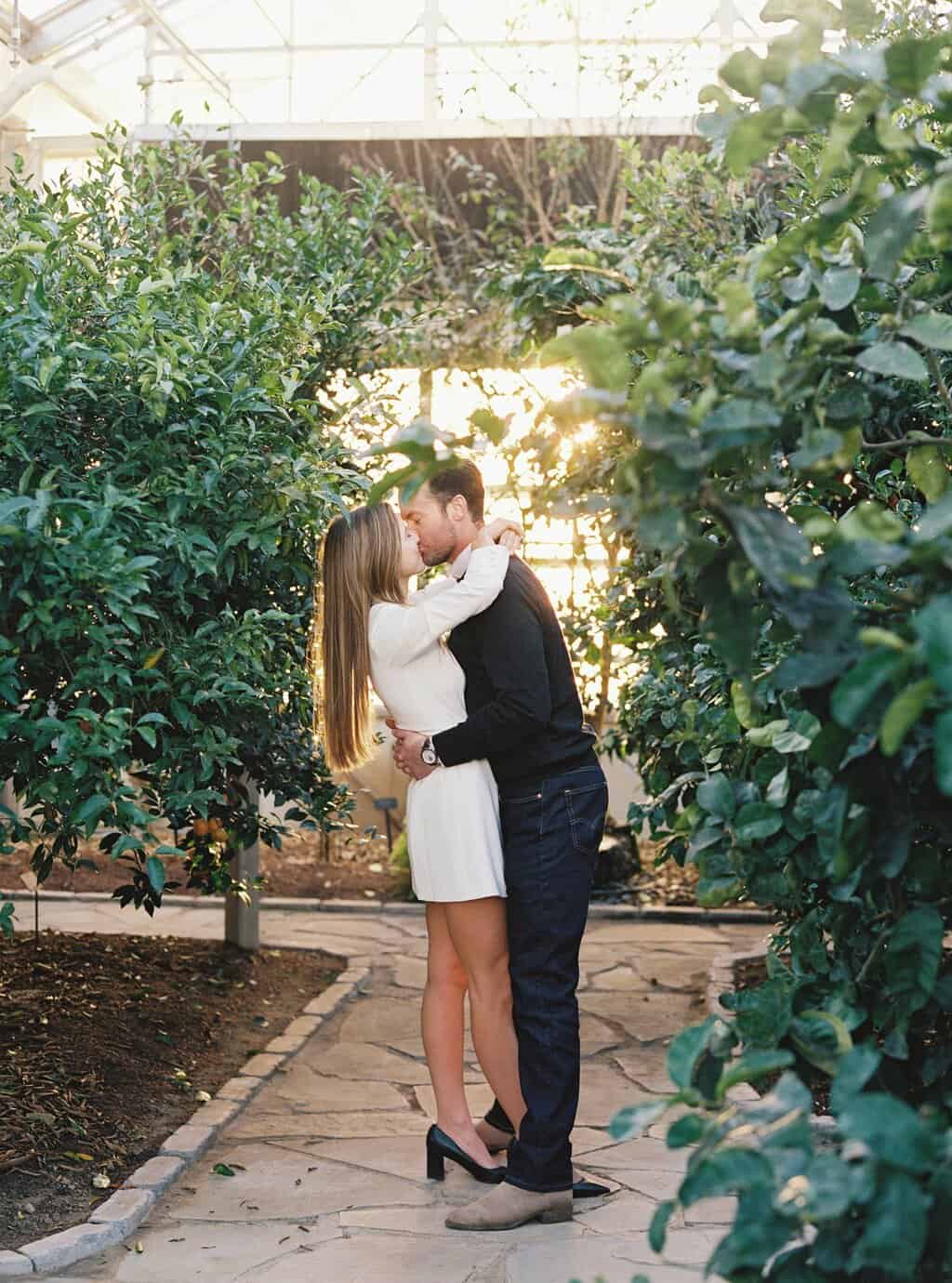 couple kiss inside greenhouse as sunlight streams in through windows.